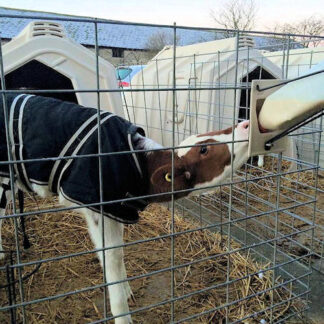 Calf Hutch Buckets, Bottles and Teats