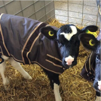 Calf Jackets