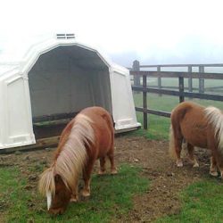 Animal Shelters for Goats, Sheep, Alpacas and Small Ponies