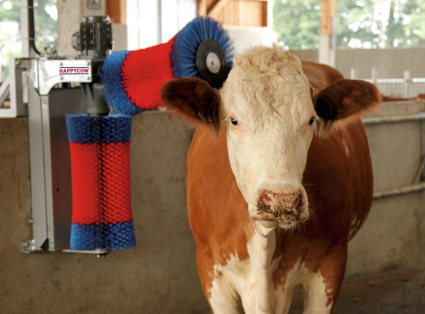  Automatic Cow Brush