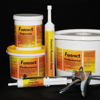 Fastract ruminant paste INTERSHAPE product