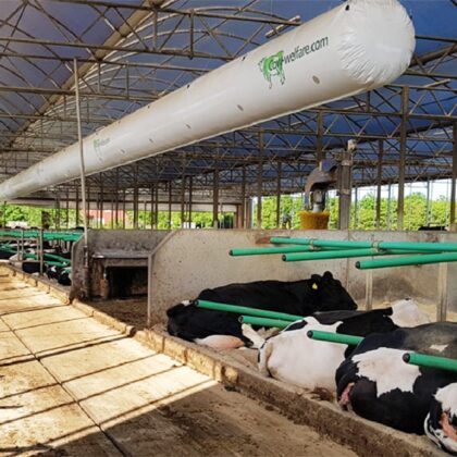 intershape Tube ventilation cow welfare product