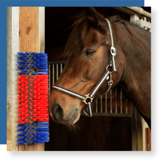 intershape brush equine horse